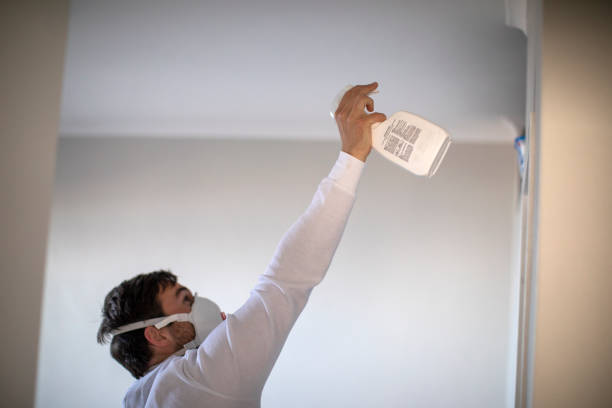 Best Toxic Mold Removal  in Carpentersvle, IL